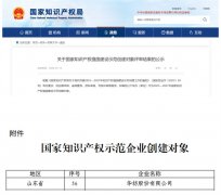 公司獲國(guó)家知識(shí)產(chǎn)權(quán)強(qiáng)國(guó)建設(shè)示范企業(yè)創(chuàng)建對(duì)象